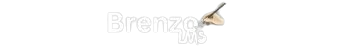 Brenzo Online LMS